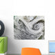 Two Cyclones Formed Tandem Wall Decal
