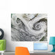 Two Cyclones Formed Tandem Wall Decal
