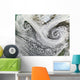 Two Cyclones Formed Tandem Wall Decal