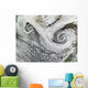 Two Cyclones Formed Tandem Wall Decal