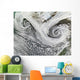 Two Cyclones Formed Tandem Wall Decal
