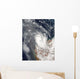 Cyclone Dominic off Shore Wall Decal