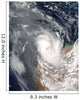 Cyclone Dominic off Shore Wall Decal