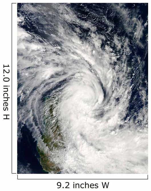 Tropical Storm Jade Coming Wall Decal