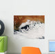 Unusual Cloud Formations Crowd Wall Decal