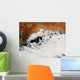Unusual Cloud Formations Crowd Wall Decal