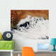 Unusual Cloud Formations Crowd Wall Decal
