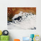 Unusual Cloud Formations Crowd Wall Decal