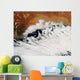Unusual Cloud Formations Crowd Wall Decal