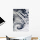 Sprawling S-shaped Swirl Is Wall Decal