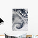 Sprawling S-shaped Swirl Is Wall Decal