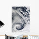 Sprawling S-shaped Swirl Is Wall Decal