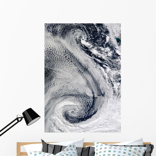 Sprawling S-shaped Swirl Is Wall Decal