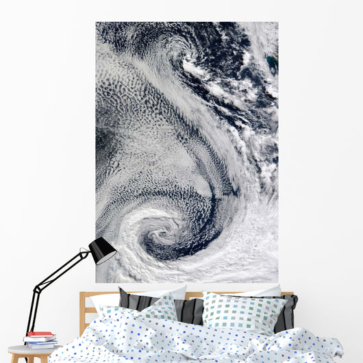 Sprawling S-shaped Swirl Is Wall Decal