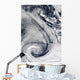 Sprawling S-shaped Swirl Is Wall Decal