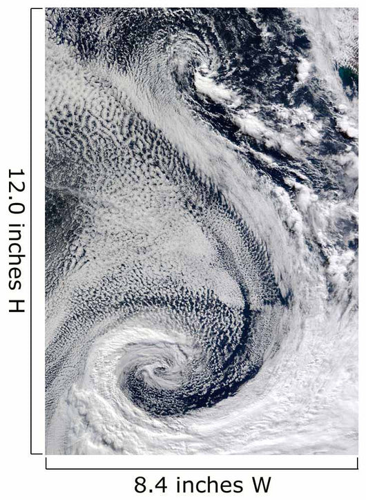 Sprawling S-shaped Swirl Is Wall Decal