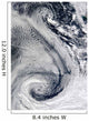 Sprawling S-shaped Swirl Is Wall Decal