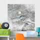 Relatively Rare Blanket Ice Wall Decal