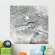 Relatively Rare Blanket Ice Wall Decal