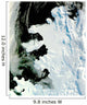 Wilkins Sound Antarctica Wall Decal