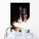 United Launch Alliance Delta Wall Decal