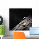 Artist Concept Lunar Reconnaissance Wall Decal Design 4