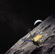 Artist Concept Lunar Reconnaissance Wall Decal Design 4