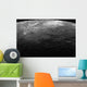 Large Craters Planet Mercury Wall Decal