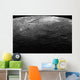 Large Craters Planet Mercury Wall Decal