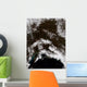Snow South Central Alaska Wall Decal