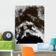Snow South Central Alaska Wall Decal