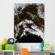 Snow South Central Alaska Wall Decal