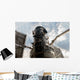 Hubble Space Telescope Wall Decal Design 3