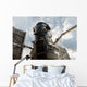 Hubble Space Telescope Wall Decal Design 3