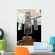 Hubble Space Telescope Is Wall Decal Design 2