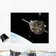 Hubble Space Telescope Orbit Wall Decal Design 2