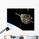 Hubble Space Telescope Orbit Wall Decal Design 2