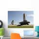 Space Shuttle Endeavour Approaches Wall Decal