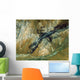 Jack Hills Australia Wall Decal