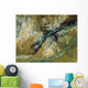 Jack Hills Australia Wall Decal