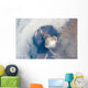 Eruption Sarychev Volcano Wall Decal Design 2