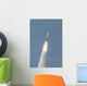 Delta Iv Rocket Roars Wall Decal