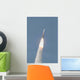 Delta Iv Rocket Roars Wall Decal