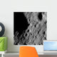 Cratered Regions near Moon's Wall Decal