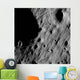 Cratered Regions near Moon's Wall Decal
