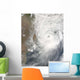 Tropical Cyclone Aila Wall Decal
