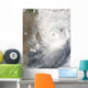 Tropical Cyclone Aila Wall Decal