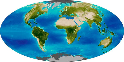 Average Plant Growth Earth Wall Decal