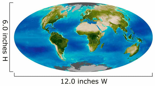 Average Plant Growth Earth Wall Decal