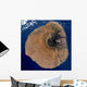 Satellite Mount Fogo Wall Decal